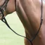 Velociti GARA Standing Martingale - Black
